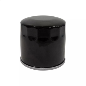 ΦΙΛΤΡΟ ΛΑΔΙΟΥ ΓΝΗΣΙΟ VOGE DS525X / DS625X / DS800X RALLY / AC350 150350015-0001