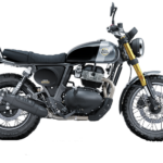 royal enfield bear 650 golden shadow