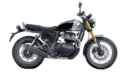 royal enfield bear 650 golden shadow